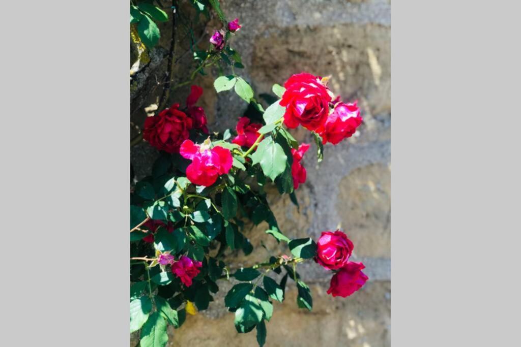 La campagne proche de Charleville-Mezieres This Esterno foto